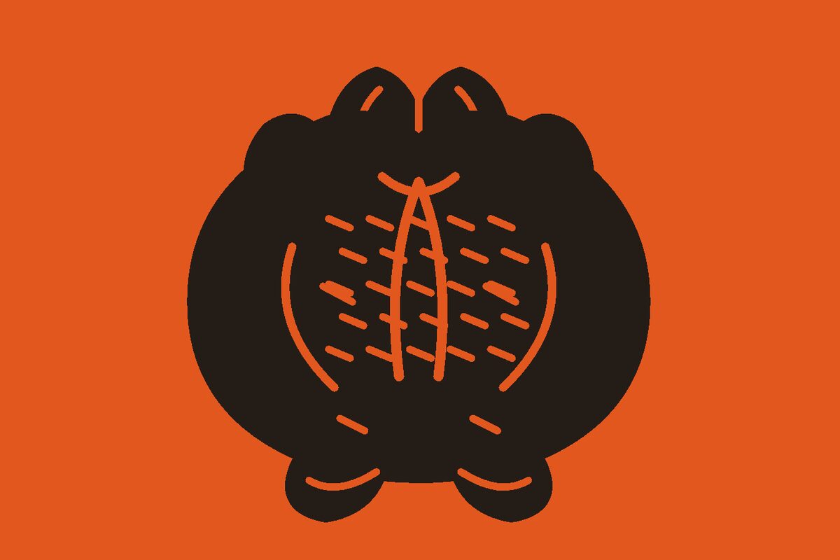Two-colour linocut illustration of one large cooked dressed turkey with broad breast, two tucked wings, two drumsticks, tail fan, and carved marks